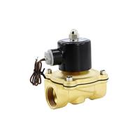 Vanne de commutation pneumatique électrovanne normalement fermée vanne électronique 12V commande 24v bobine 220v(2W500-50,AC220V)