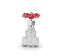 Vanne de porte à filetage femelle SS304 en acier inoxydable DN15 DN20 DN25 DN32 DN40 DN50 1,6 MPa (DN20)