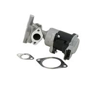 Vanne De Recirculation Des Gaz D'Échappement AGR Compatible Avec Rover