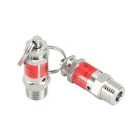 vanne de sécurité de soulagement de pression, Soupape de surpression compresseur d'air à ressort 304 SS 0.5-10 1/8 et 1/4 BSPT(10 (1 Mpa),1/4 BSPT)