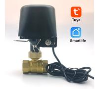 Vanne d'eau intelligente Tuya Zigbee WIFI DN15 DN20 DN25, contrôle domotique, minuterie de robinet, prise en charge Alexa Google Assistant SmartLife EU plug DN15