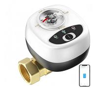Vanne eau intelligente EWeLink WiFi IP65, vanne bille auto, contrôle distance appli, compatible Google Assistant et Salute