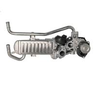 Vanne EGR BORG WARNER 710863D/1 pour VW POLO V (6R1, 6C1) 1.2 2009-2014