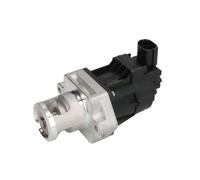 Delphi Vanne EGR EG10478-12B1 sans radiateur