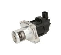 Vanne EGR DELPHI EG10479-12B1