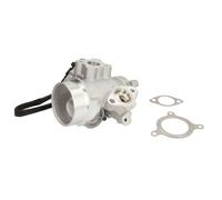 Vanne EGR DELPHI EG10495