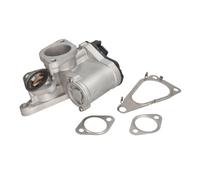 Vanne EGR DELPHI EG10631-12B1