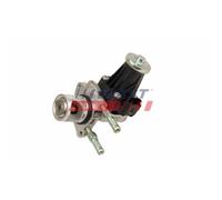 FAST FT10613 Vanne EGR
