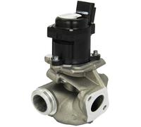 Vanne EGR Ford - psa group - VALEO - 700474