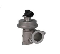 Vanne EGR NISSENS 98420 pour JAGUAR X-TYPE I (X400) 2 2003-2009