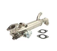 Vanne EGR NRF 48313