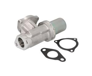 Vanne EGR NRF 48384
