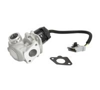 Vanne EGR NRF 48397