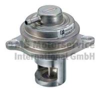 Vanne Egr Pierb 7.00306.37.0