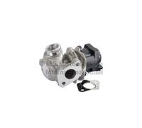Vanne Egr Pierburg 7.24809.39.0 pour Suzuki Volvo Mini Citroën Fiat Ford Mazda