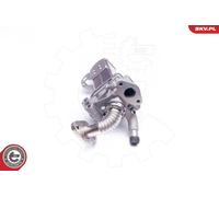 Vanne EGR Pour NISSAN CABSTAR NAVARA NP300 NT400 CABSTAR PATHFINDER