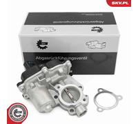 Vanne EGR Pour SEAT SKODA VW BEETLE CADDY CADDY ALLTRACK SCIROCCO TOLEDO YETI