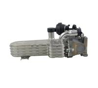 Vanne EGR Recirculation POUR VW 2.0L POUR Golf POUR Touran POUR TDI 2003-2008 2009 2010 03G131513J 03G131512L 03G131513D Refroidisseur EGR Recirculation Gaz D'échappement