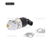 Vanne EGR TRISCAN 8813 29009 pour AUDI 036 131 503 R