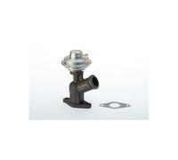 Vanne EGR WAHLER 710922D