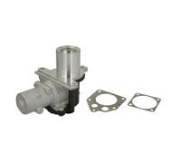 Vanne EGR WAHLER 710928D