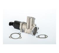 Vanne EGR WAHLER 710949D