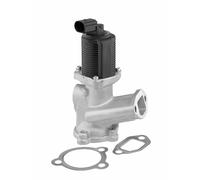 Vanne EGR WAHLER 712070D