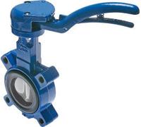 Vanne papillon à oreilles DN50 (2 pouces) PN16 (Max. 12 bar) GGG40-GGG40 revêtu de polyamide-EPDM