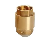 Vanne Unidirectionnelle Verticale En Laiton, Modèle À Ressort, Corps Renforcé Pour Réseau D’eau, Passage Sens Unique, Dimensions 1/2, 3/4 Et 1 Pouce(DN25 1 inch 1Pc)