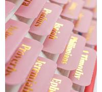 VANRA Onglets bibliques pour Femmes Qui étudient la Bible, Fournitures de journalisation en Gros caractères, 96 onglets pour étudier l'Ancien et Le Nouveau Testament avec des onglets bibliques laminé