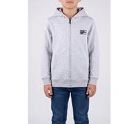 Sweat-shirt enfant filles Vans BLOCKED BOX FZ HOODIE Gris 10 / 12 ans