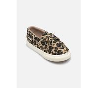 VANS Chaussure basse beige / brun foncé / kaki, Taille 26