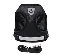VANZACK 1 Ensemble Corde de Marche Nocturne pour Animaux de Compagnie Dog Leash Dog Harness Chien Double Laisse d'extérieur pour Chiot Corde de contrôle pour Animaux de Compagnie Black