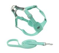 VANZACK 1 Ensemble Corde de Traction de Type Gilet Laisse de Marche Petit Harnais pour Chien Léger Marcher Laisse pour Chiot résistante à l'usure Harnais Domestique pour Chiot Suède Vert