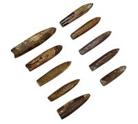 VANZACK 10 Pièces Fossiles de Bélemnite pour Lenseignement Scientifique Modèle de Simulation Éducative pour Garçon Fille Matériel Pédagogique Naturel et Sécurisé