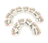 VANZACK 14pièces Lot De Cartes Mensuelles Pour Inscription Jalons Peintes Fournitures