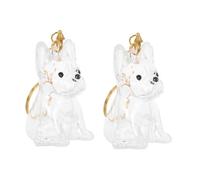 VANZACK 2pièces Porte-clés Souvenir pour Poils Animal Pendentif Capsule Transparent pour Poils de Chien et Chat Contenant de Rangement pour Maîtres Animaux