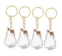 VANZACK 4 Pièces Porte Clés Boîte de Rangement Poils de Chien Transparent Souvenir Commémoratif Animal de Compagnie Accessoire Élégant pour Garder la Mémoire du Pelage