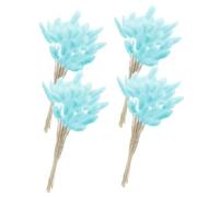 VANZACK 60 Queues de Lapin Séchées Naturelles Bleu Clair Bouquet Décoratif en Herbe de Queue de Lapin Séchée pour Mariage Décoration Maison Jardin et Fête 100% Naturelle