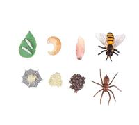 VANZACK 8 pièces Modèles Éducatifs Insectes Réalistes pour Garçon Fille Cycle de Vie Simulateur Nature Jouets Éveil et Décoration Pédagogique
