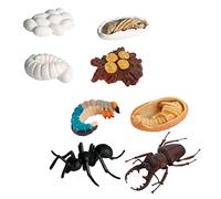 VANZACK 8 pièces Modèles Réalistes Insectes Cycle de Vie de Fourmis Ouvrières Éducatif pour Garçon Fille Décorations Simulées Animaux