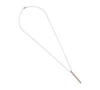 VANZACK Collier Parfumé Cylindrique en Alliage de Titane Pendentif Porte-Cendres Rose Doré Urne Funéraire Portable pour Souvenirs Bijou Commémoratif Résistant à la Corrosion Usage