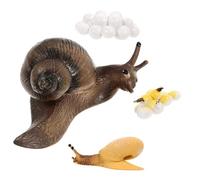 VANZACK Éducatif Cycle de Vie Escargot Modèle Réaliste PVC pour Éveil Garçon Fille Aide Pédagogique et Portable Simulation Nature