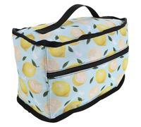 VANZACK Étui de Transport pour Fer à Repasser Électrique Vapeur, Pochette de Rangement Compacte Étanche Anti-poussière avec Poignée Ergonomique, Mallette de Voyage Multifonction