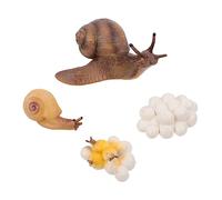 VANZACK Figurine Escargot 4 Pièces - Kit d'apprentissage sur Le Cycle De Vie des Escargots pour Enfants - Jouets Cognitifs en Plastique pour Éveil Et Découverte De La Nature