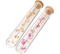 VANZACK Lot de 2 Fleurs Séchées en Bouteille en Verre Décoration Intérieure Rose Éternelle et Gypsophile Orange Matériel DIY pour Bouquet Présent Saint Valentin et Anniversaire Fleur