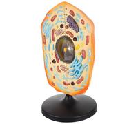 VANZACK Modèle Anatomie De Cellule Animale Modèle Pédagogique pour Enseignement Biologie Exposition