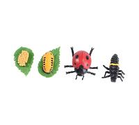 VANZACK Modèle Cycle Vie Insecte Sécurisé pour Garçon Fille Décor Fête Éducatif Coccinelle Observation Garçon Fille