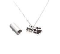 VANZACK Pendentif de Cendres d'animaux Chiot Cou Chienchien Collier urne Animal Collier Souvenir Animal urne pour Chien Collier de Cendres pour Animaux de Compagnie Acier Inoxydable Silver