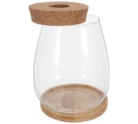 VANZACK Vase de Propagation Hydroponique en Verre Transparent 2 Pièces avec Bouchon en Liège Percé et Plateau en Bambou, Grand Format pour Boutures, Plantes D’intérieur et Décoration